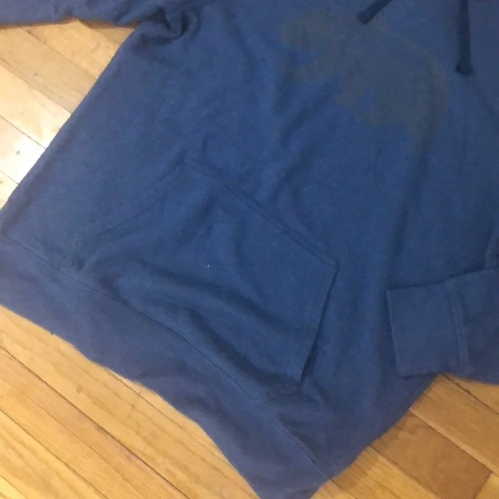 The North Face blue pullover sweatshirt with bear